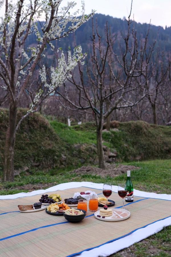 Hotel Warehouse X Poshtel Manali (Himachal Pradesh)